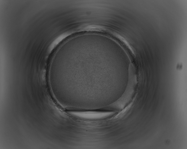 X0000096701066200802121158