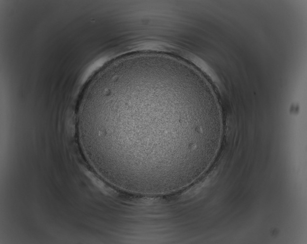 X0000096701067200802121158