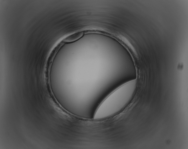 X0000096701068200802121158