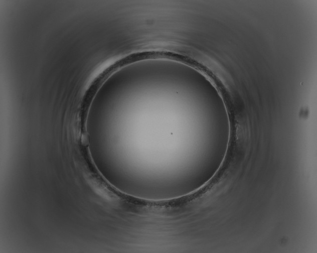 X0000096701069200802121158
