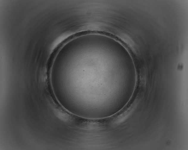 X0000096701070200802121158