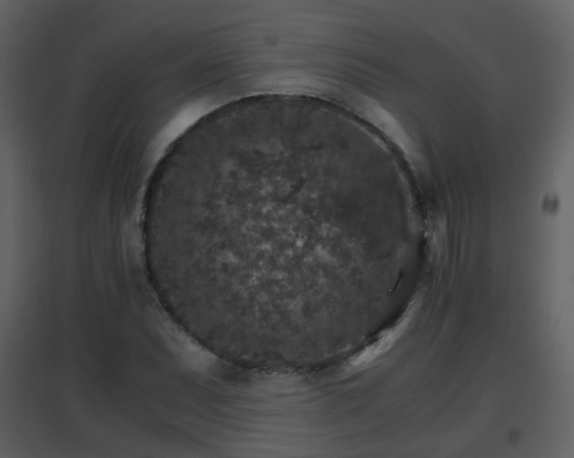 X0000096701071200802121158