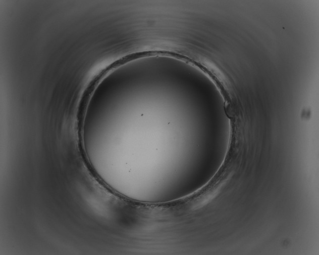 X0000096701072200802121158