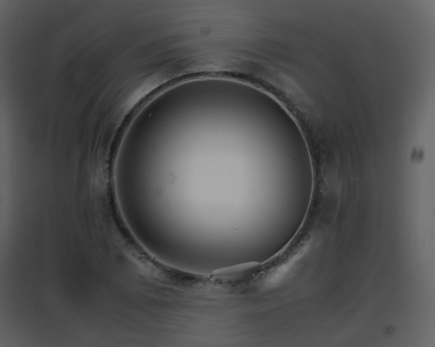 X0000096701073200802121158