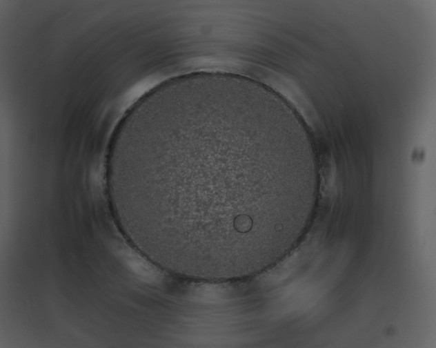 X0000096701074200802121158