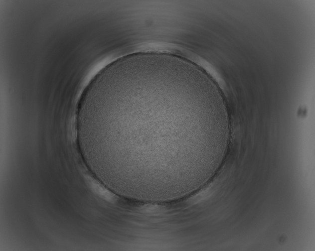 X0000096701075200802121158