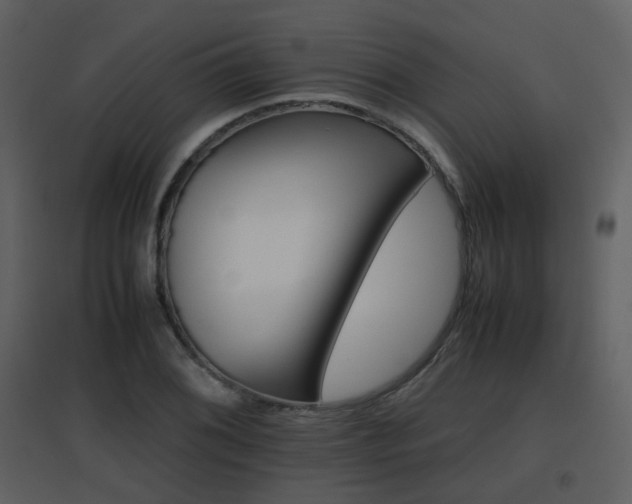 X0000096701076200802121158
