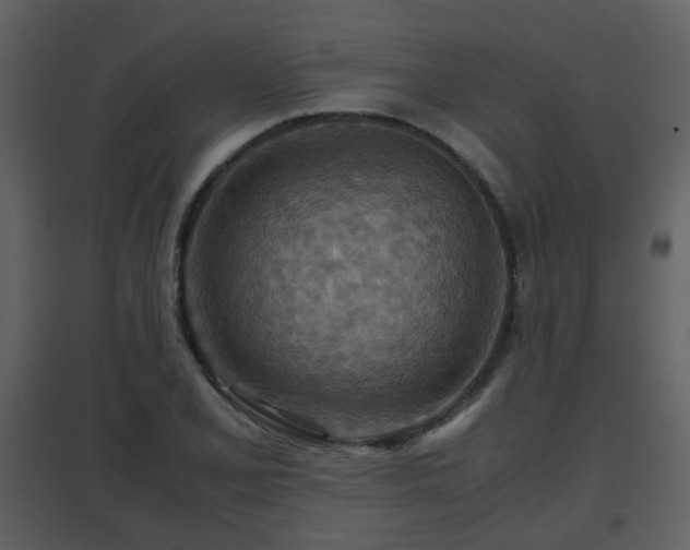 X0000096701077200802121158