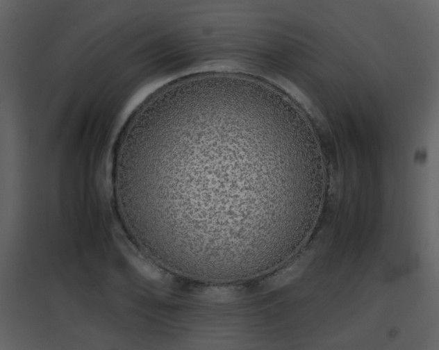 X0000096701078200802121158