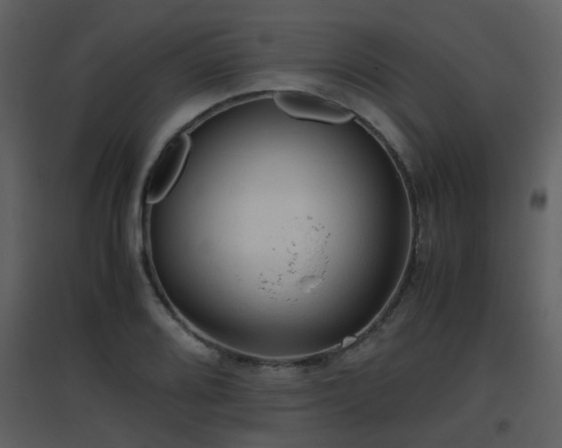 X0000096701080200802121157