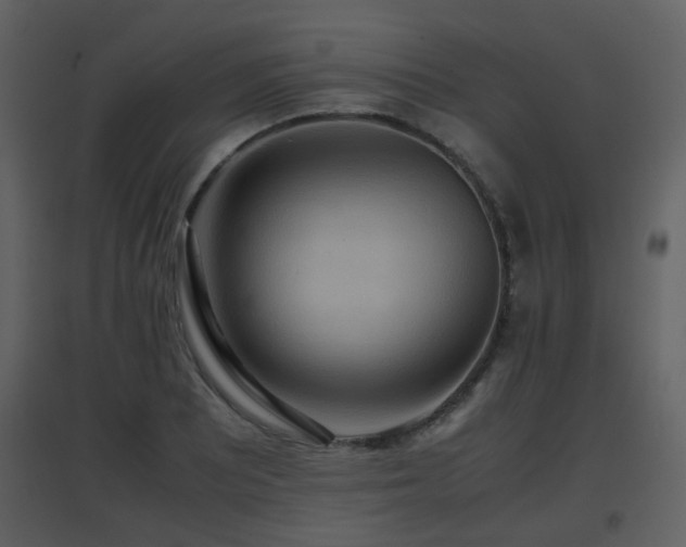 X0000096701081200802121157