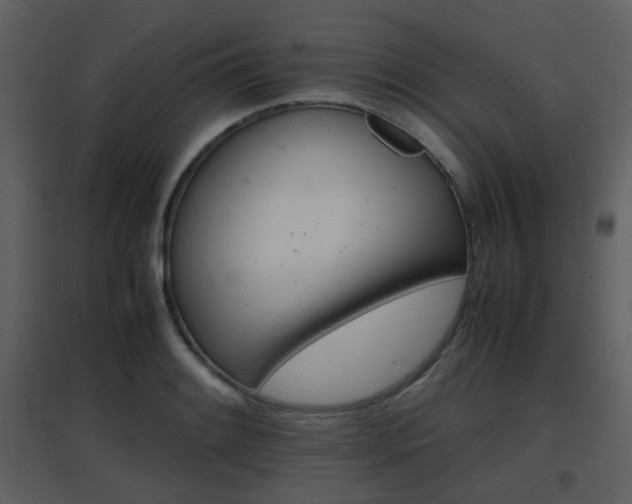 X0000096701084200802121157
