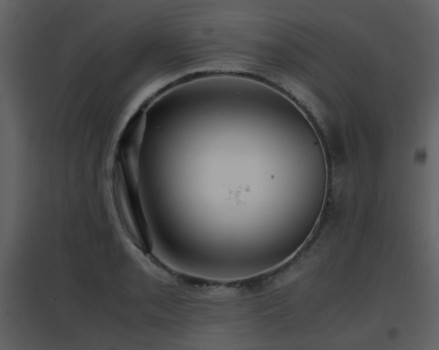 X0000096701085200802121157