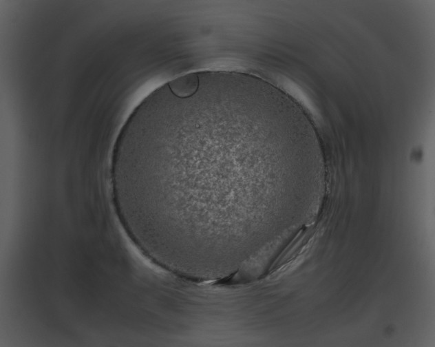 X0000096701087200802121157