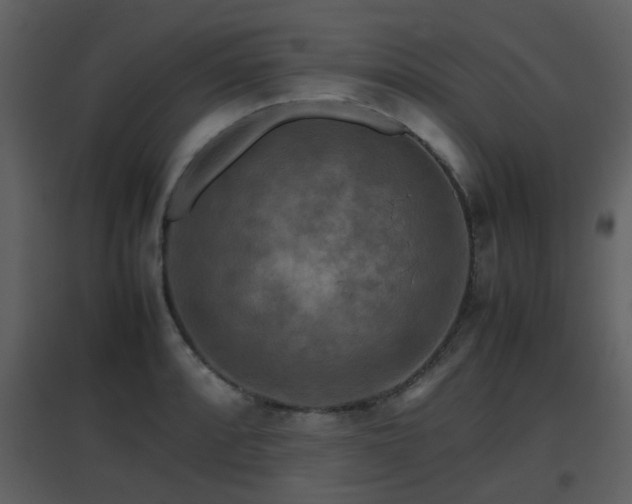 X0000096701088200802121157