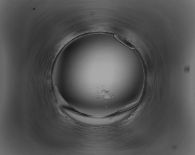 X0000096701089200802121157