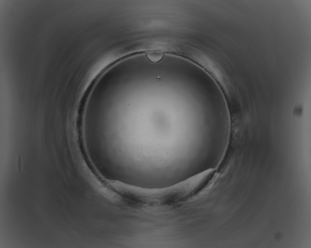 X0000096701091200802121157