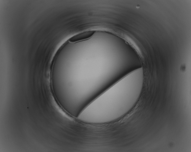 X0000096701092200802121157