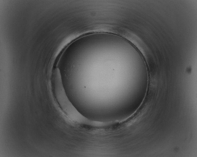 X0000096701093200802121157