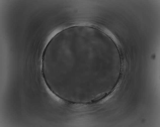 X0000096701095200802121157