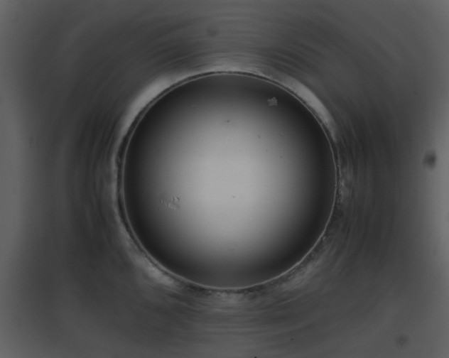 X0000096701096200802121157