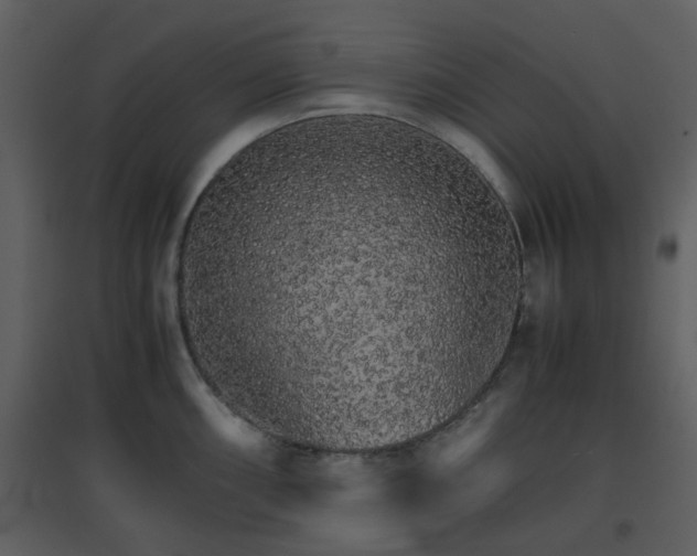 X0000096701098200802121157