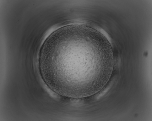 X0000096701099200802121157