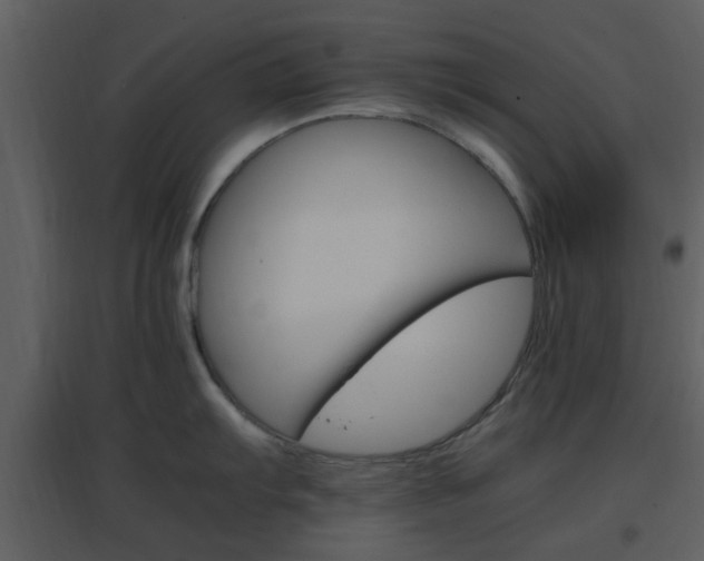 X0000096701103200802121157