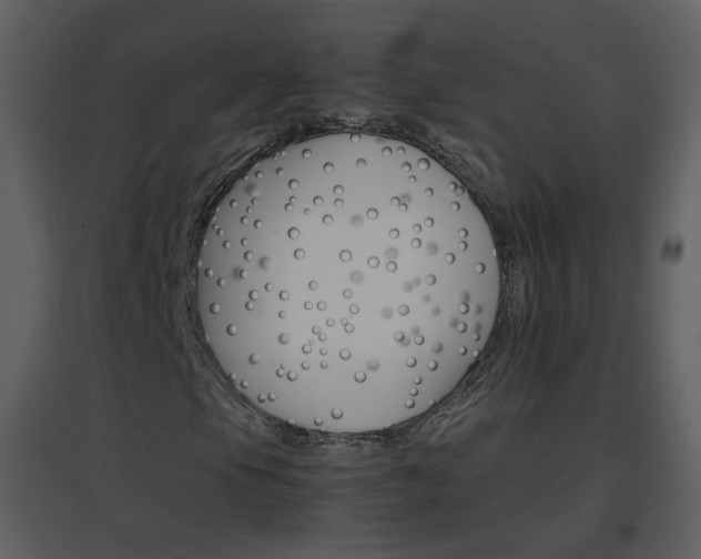 X0000096701105200802121156
