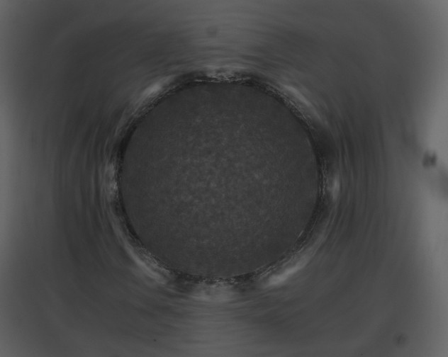 X0000096701106200802121156