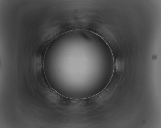 X0000096701107200802121156