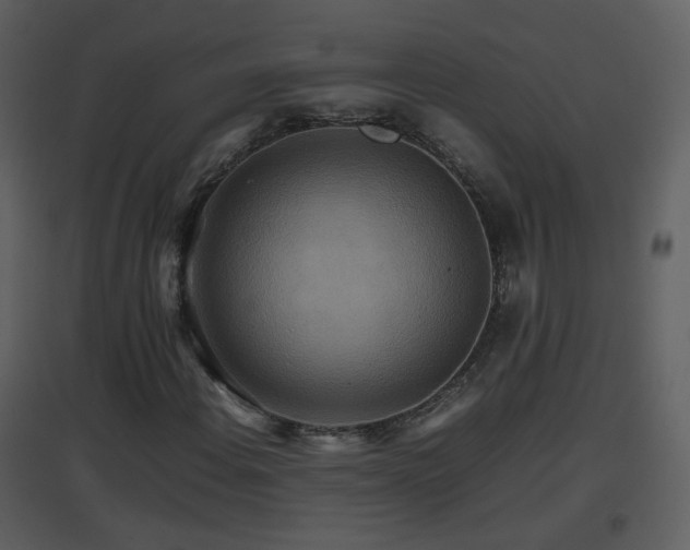 X0000096701108200802121156