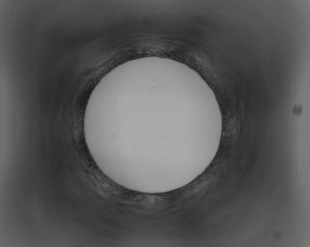X0000096701109200802121156