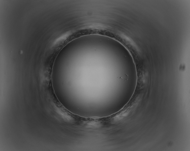 X0000096701110200802121156