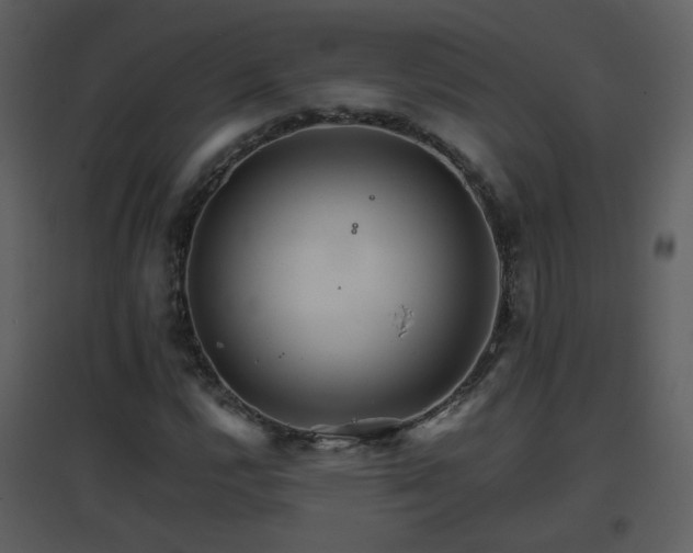 X0000096701112200802121156