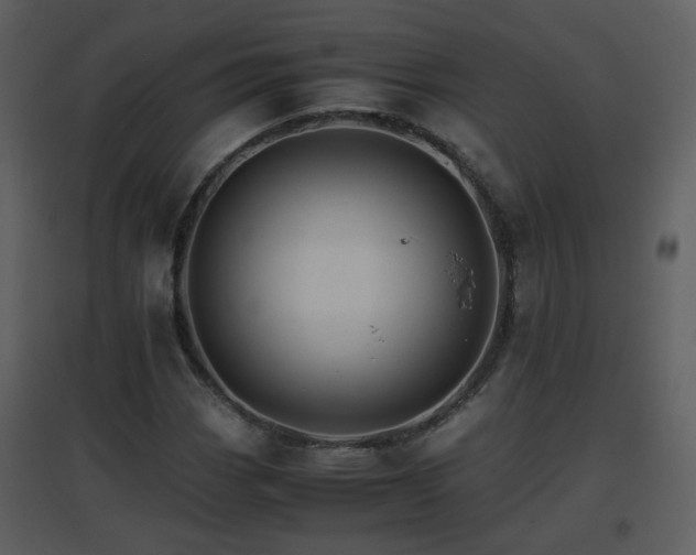X0000096701113200802121156
