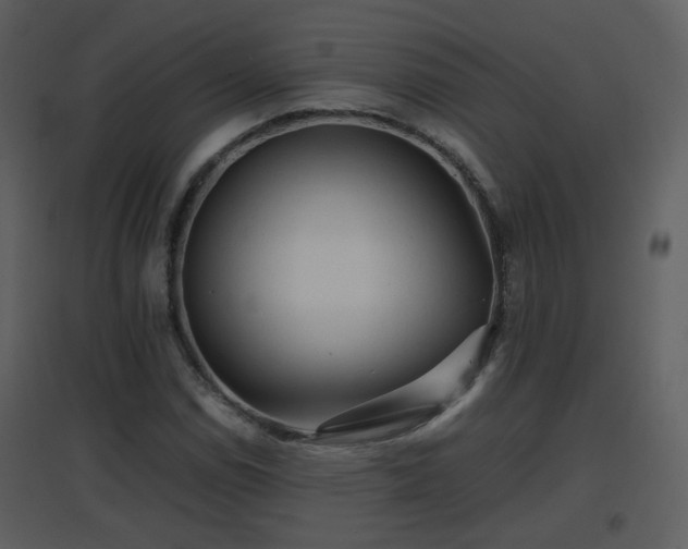 X0000096701114200802121156