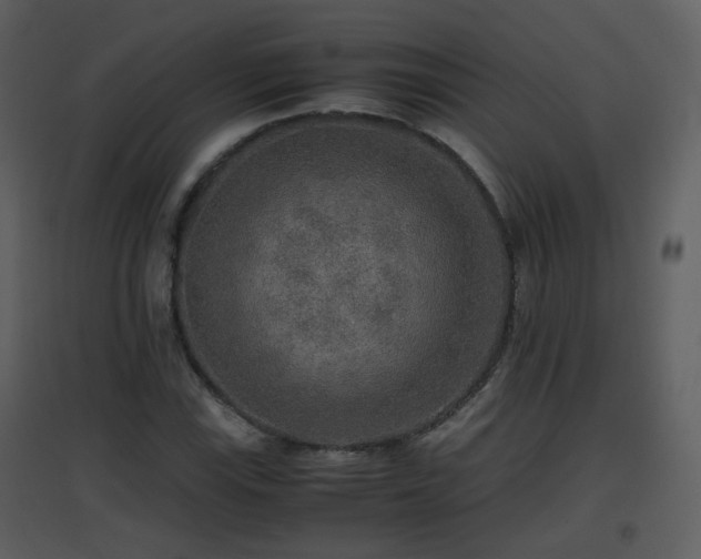 X0000096701115200802121156
