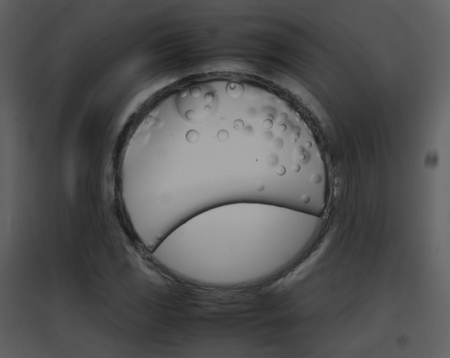 X0000096701117200802121156