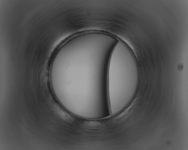 X0000096701119200802121157
