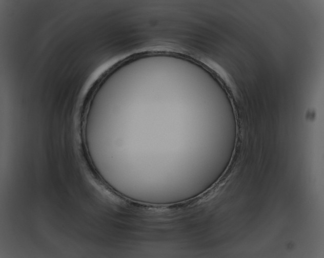 X0000096701120200802121157