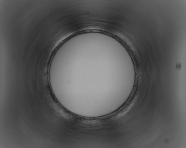 X0000096701121200802121157