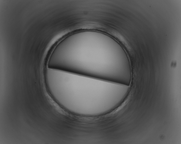 X0000096701122200802121157