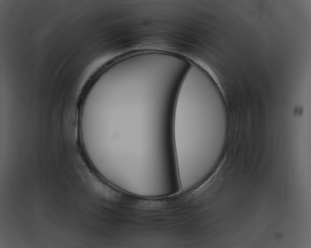 X0000096701123200802121157