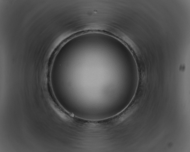 X0000096701124200802121157