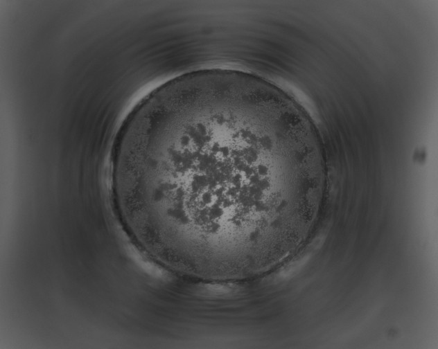 X0000096701125200802121157