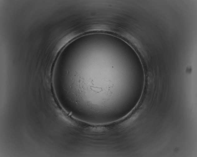 X0000096701129200802121157