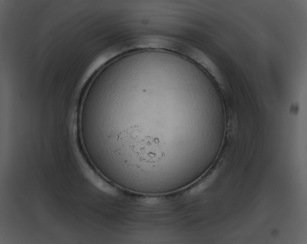 X0000096701130200802121157