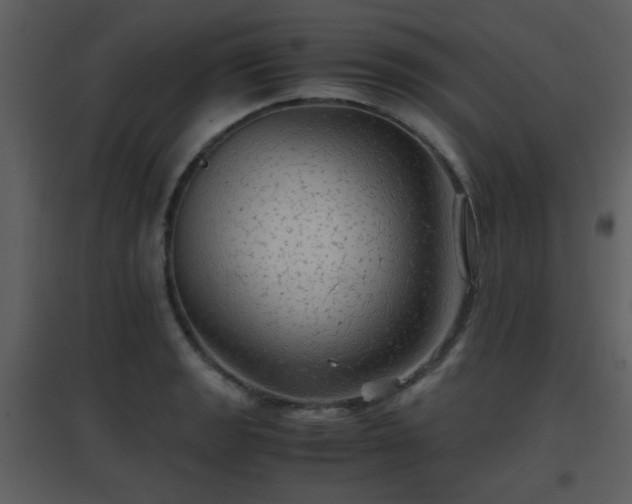 X0000096701133200802121157