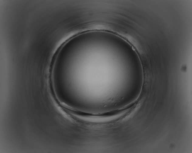 X0000096701134200802121157